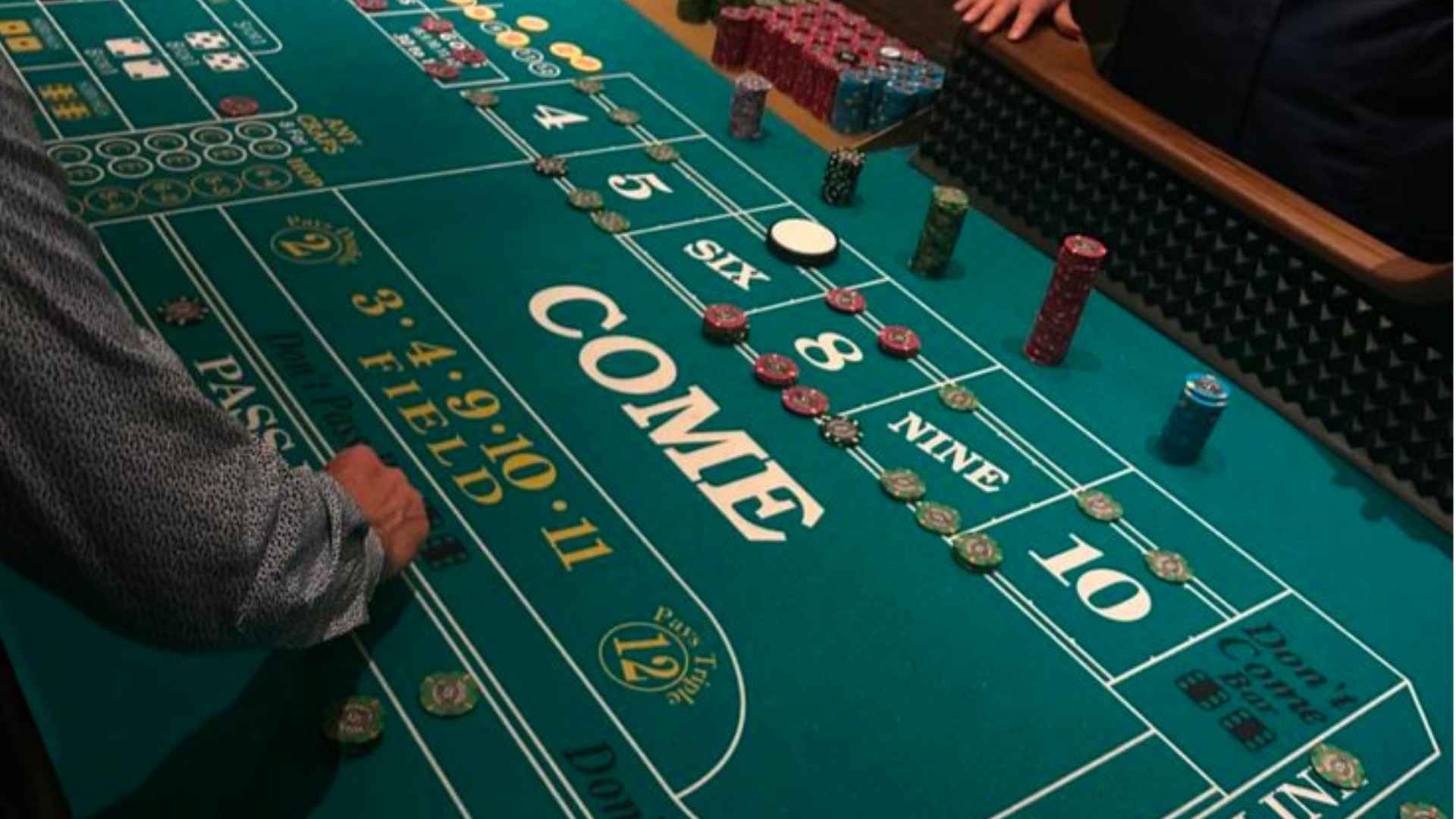 Live Dealer Platforms Offering Reliable Live Action